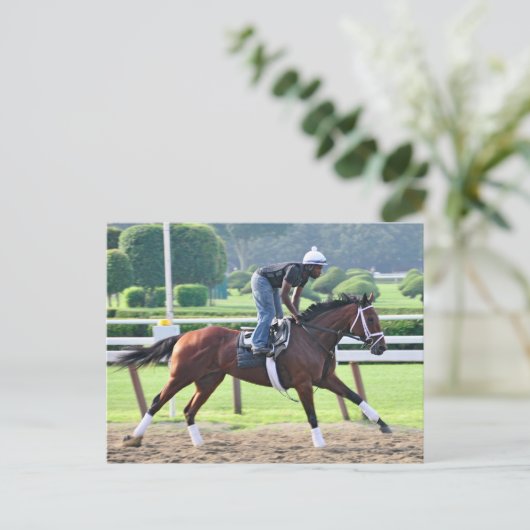 Nick Struik en Todd Pletcher Workouts Briefkaart (Staand voorkant)