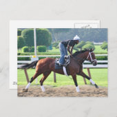 Nick Struik en Todd Pletcher Workouts Briefkaart (Voorkant / Achterkant)