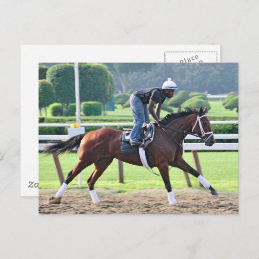 Nick Struik en Todd Pletcher Workouts Briefkaart (Voorkant / Achterkant)