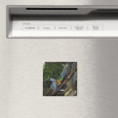 Nicobar Duif Golf Magneet (Insitu (Vaatwasser))
