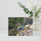 Nicobar Pigeon Briefkaart (Staand voorkant)