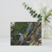 Nicobar Pigeon Wave Briefkaart (Staand voorkant)