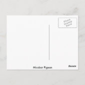 Nicobar Pigeon Wave Briefkaart (Achterkant)
