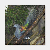 Nicobar Pigeon Wave Magneet (Voorkant)