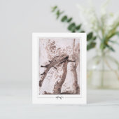 Nicolas Poussin #134 - Kunstmatig Briefkaart (Staand voorkant)