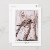 Nicolas Poussin #134 - Kunstmatig Briefkaart (Voorkant / Achterkant)