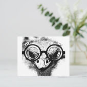 Nicolaus de struisvogel zwart-wit briefkaart (Staand voorkant)