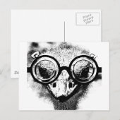 Nicolaus de struisvogel zwart-wit briefkaart (Voorkant / Achterkant)