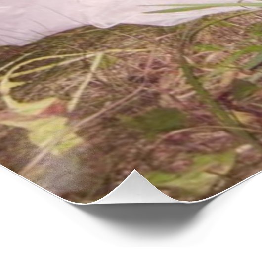 Nicole Dollanganger Perfect Poster (Hoek)