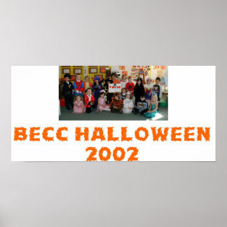 Nico's klasse poster