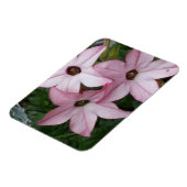 Nicotinia Star Flowers Magneet (Linkerzijde)