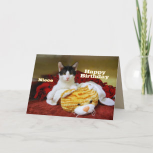 Niece Happy Birthday Kitten met Speelgoed Tiger Kaart