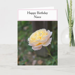 Niece Verjaardag Pastel Gele Rozen Roze Cupcake Kaart
