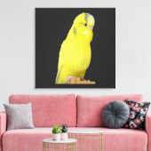 niedlicher gelber Wellensittich  Canvas Afdruk (Insitu (Woonkamer))