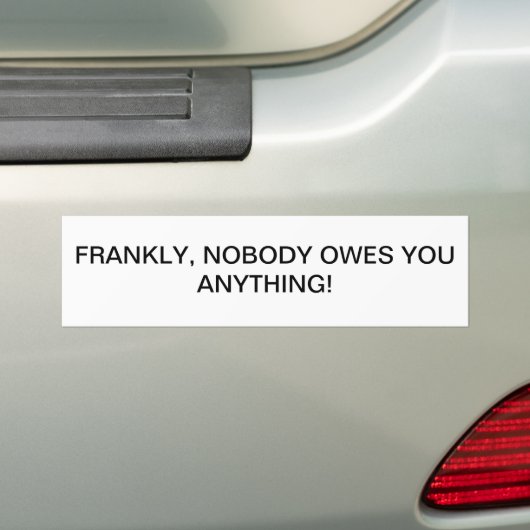 NIEMAND BEZIT JE IETS BUMPERSTICKER (Op auto)