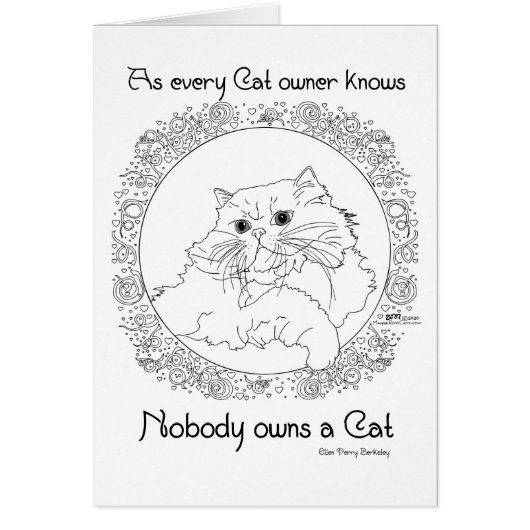Niemand is eigenaar van een kat (Voorkant)