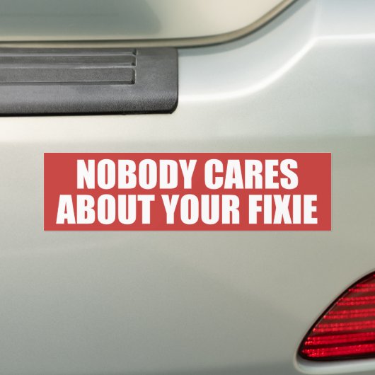 Niemand Maakt Zich Zorgen Over Je Fixie Bumpersticker (Op auto)