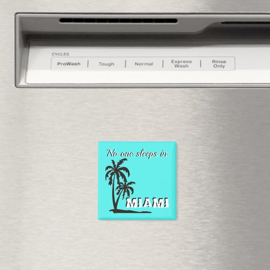 Niemand slaapt in Miami magnet (Insitu (Vaatwasser))