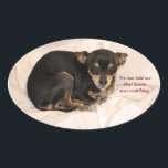 Niemand vertelde me dat de Kerstman keek. Ovale Sticker<br><div class="desc">Deze kleine Chihuahua lijkt er zeker op dat hij in de problemen kwam,  en nu is hij bang dat de Kerstman dat heeft gezien. Maar hij is zo schattig dat ik er zeker van ben dat de Kerstman hem nog steeds een cadeau zal geven.</div>