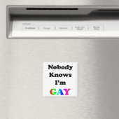 Niemand weet dat ik Gay ben Magneet (Insitu (Vaatwasser))