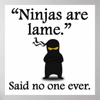 Niemand zei ooit: Ninjas is beroemd Poster