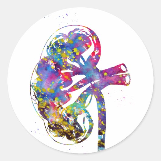 Nier sectie ronde sticker (Voorkant)
