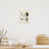  nieranatomische afdrukken poster (Keuken)