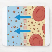 Nierdialyse Muismat (Voorkant)