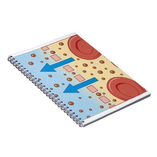 Nierdialyse Notitieboek (Rechterzijde)