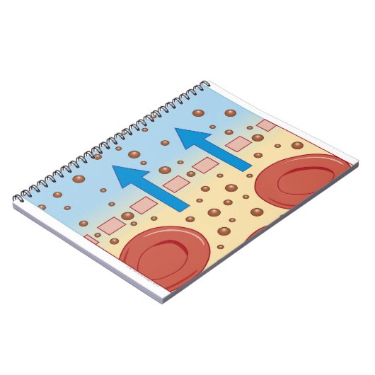 Nierdialyse Notitieboek (Linkerzijde)