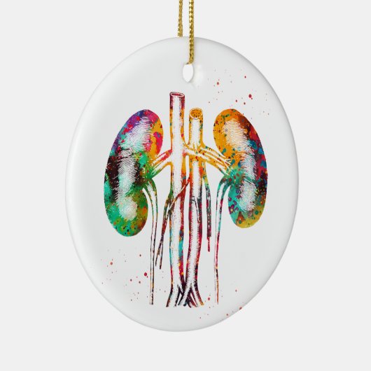 Nieren anatomie keramisch ornament (Rechts)