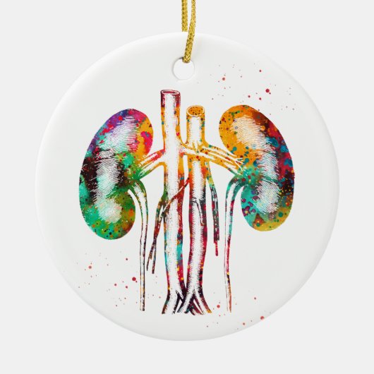 Nieren anatomie keramisch ornament (Voorkant)