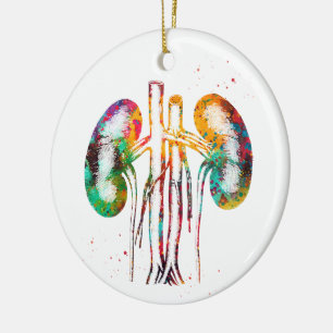 Nieren anatomie keramisch ornament