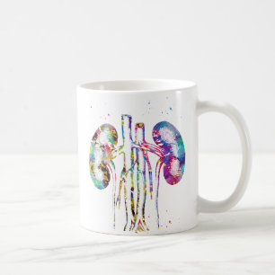 Nieren anatomie koffiemok