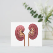 nieren briefkaart (Staand voorkant)