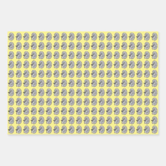 Nieren, geel, inpakpapier vel (Voorkant)