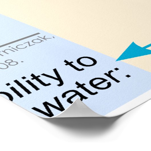 Nieren Nephron Molar Transportdiagram Poster (Hoek)