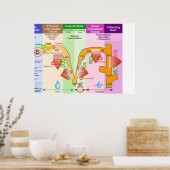 Nieren Nephron Molar Transportdiagram Poster (Keuken)