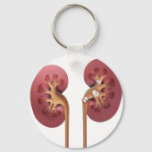 nieren sleutelhanger (Voorkant)