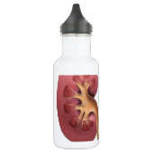 nieren waterfles  (Links)