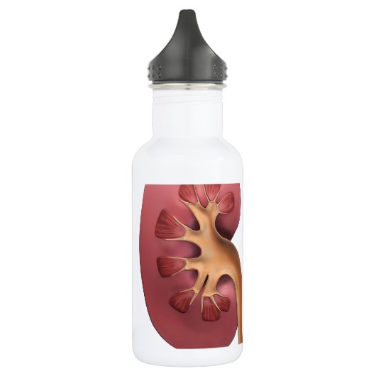 nieren waterfles (Links)