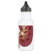 nieren waterfles  (Rechts)