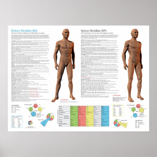 Niermeridiaan Acupunctuurpunten Poster (Voorkant)
