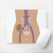 Niertransplantatie Muismat (Met muis)