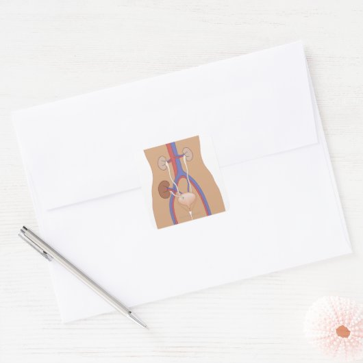 Niertransplantatie Vierkante Sticker (Envelop)