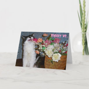 Niesbloemen Allergisch om goed Kat te krijgen Kaart