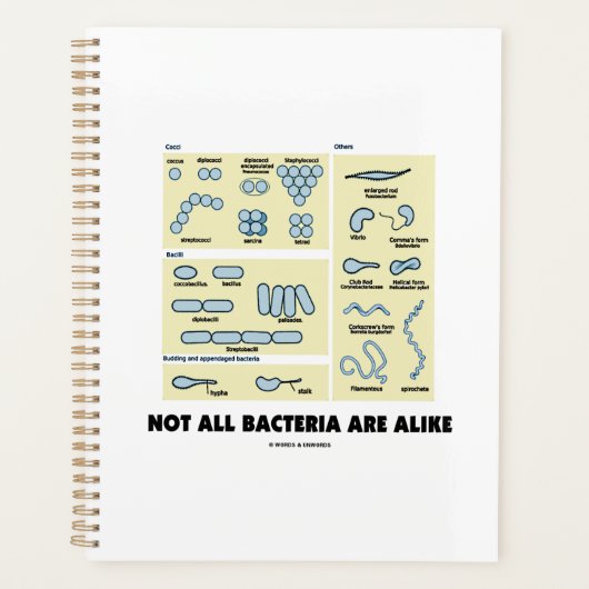 Niet alle bacteriën lijken op bacteriële morfologi planner (Voorkant)