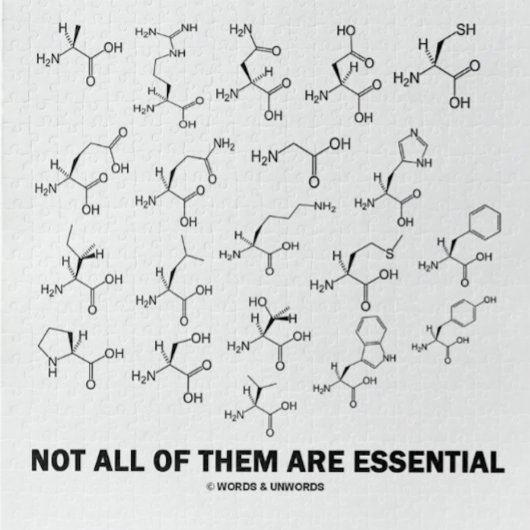 Niet alle zijn essentieel (20-aminozuren) legpuzzel