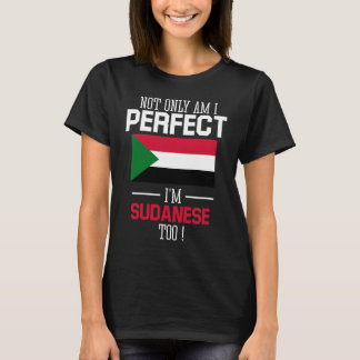 Niet alleen ben ik perfect Ik ben Soedanees Naar S T-shirt