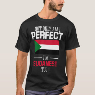Niet alleen ben ik perfect Ik ben Soedanees Naar S T-shirt